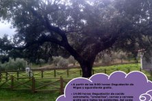 8º Día de la Matanza Didáctica y Fiesta de “La Probadilla”