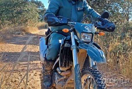 Denunciados dos cazadores de Don Benito y Maguilla por abatir ciervos en una batida autorizada solo para jabalí