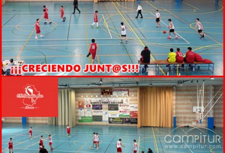 Pleno de victorias para la base del C. B. Campiña Sur de Llerena en JUDEX-FEXB